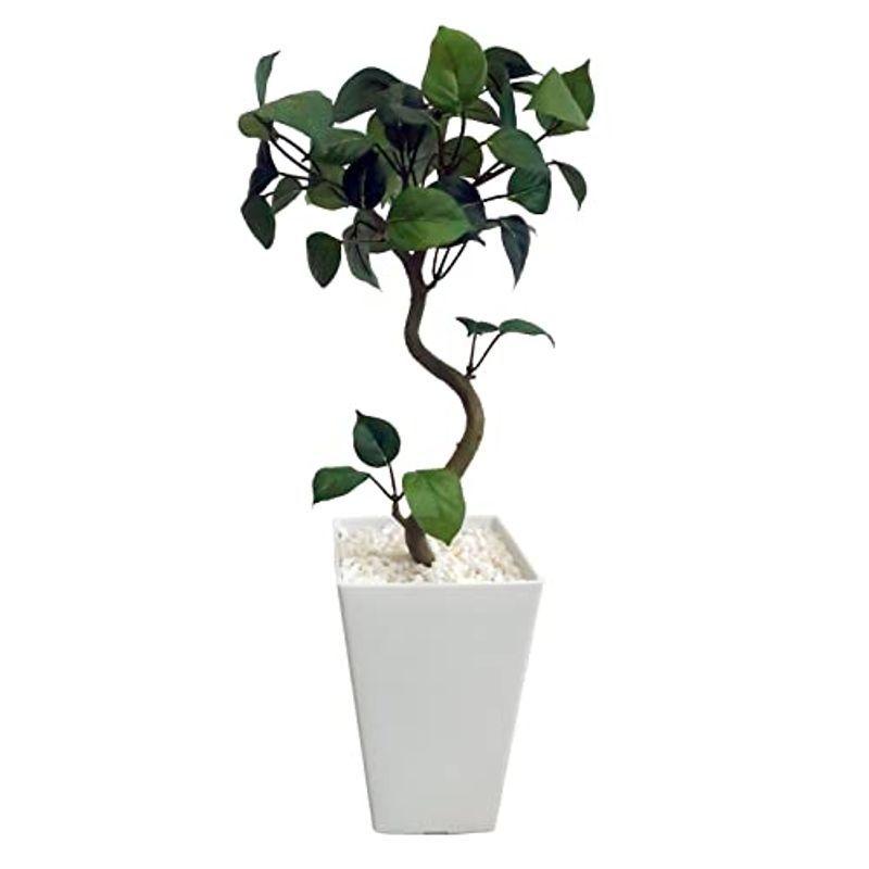 神戸花物語 フェイクグリーン 観葉植物 造花 ミニ 人工観葉植物 聖木ベンジャミンポット 46cm 鉢植 白鉢 Ct触媒 Shareshop 通販 Yahoo ショッピング