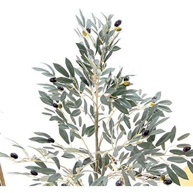 80 以上節約 造花ドットコム 光触媒 フェイクグリーン 人気 人工 造花 観葉植物 観葉樹 グリーン 空気清浄 脱臭 リアル 鉢 室内 インテリア リビン Plannerce Ir