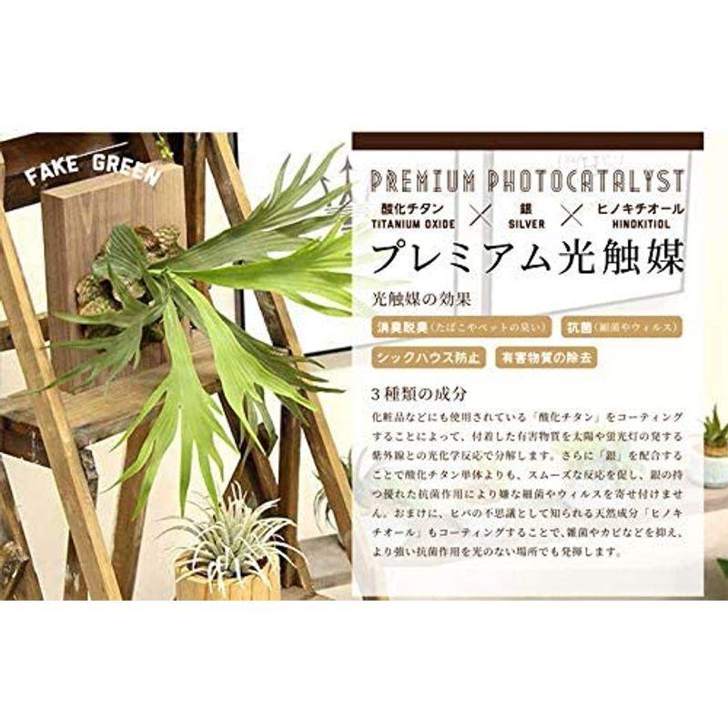 80 以上節約 造花ドットコム 光触媒 フェイクグリーン 人気 人工 造花 観葉植物 観葉樹 グリーン 空気清浄 脱臭 リアル 鉢 室内 インテリア リビン Plannerce Ir