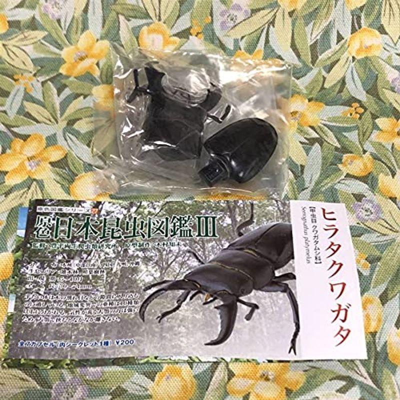 ヒラタクワガタ 原色日本昆虫図鑑3 ガチャ