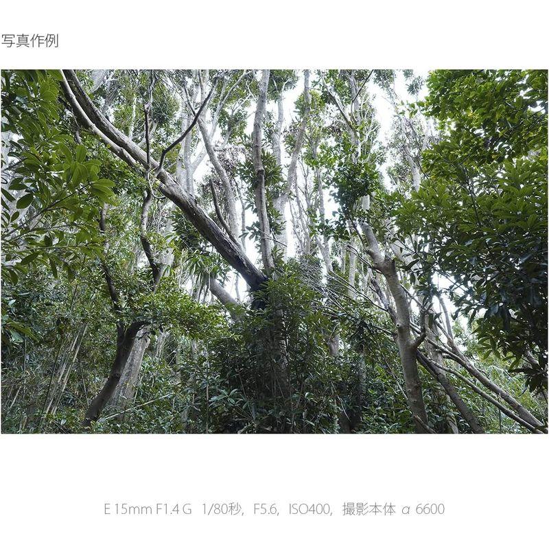 【タイムセール】 ソニー/広角単焦点レンズ/APS-C/E 15mm F1.4 G/Gレンズ/デジタル一眼カメラαEマウント用レンズ / SEL15F14G 【GMS1631388421】(58942円)