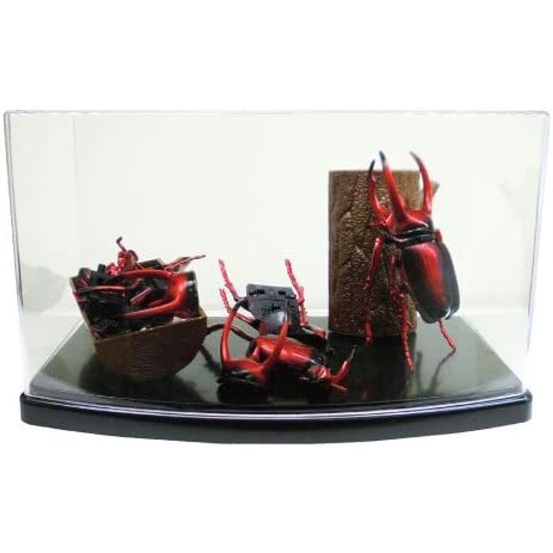 4Dパズル 昆虫DX 20個入りBOX