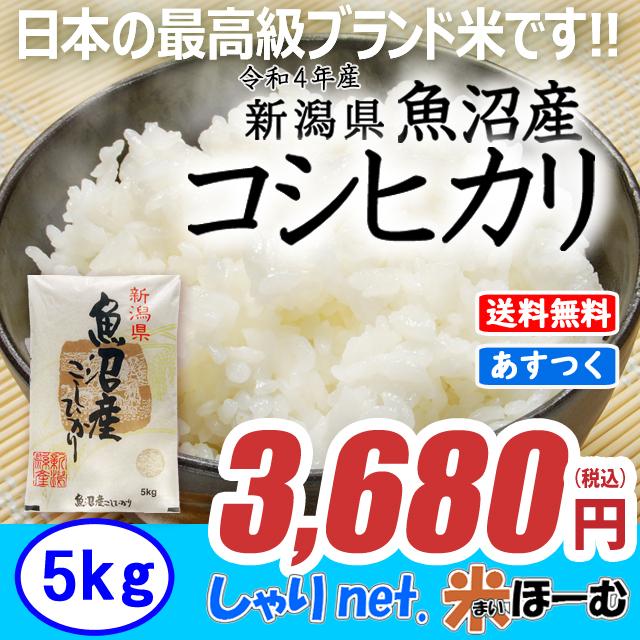 新潟県 ４年産 コシヒカリ 白米 5ｋｇ(5ｋｇ×１袋) お米 米