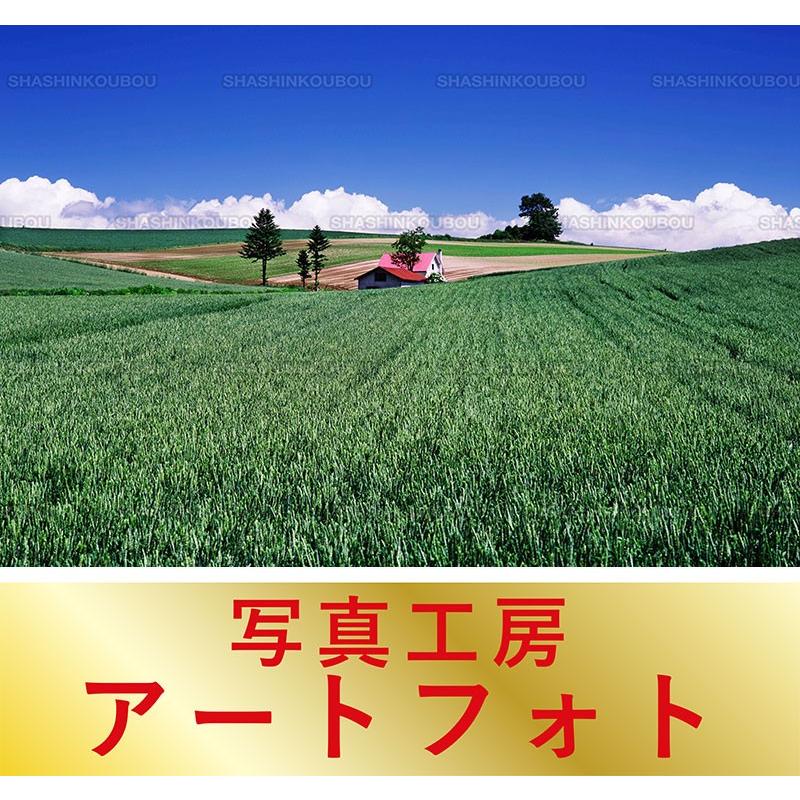 大注目 額装写真 堀町政明 オリジナルプリント 小麦畑と赤い屋根の家 北海道 上川郡美瑛町 大判サイズ 557 442mm 宅送 Zoetalentsolutions Com