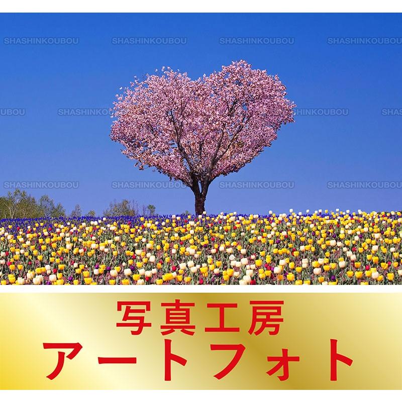 額装写真 堀町政明 オリジナルプリント お花畑に立つハートの木 北海道 上川郡美瑛町 大判サイズ 557 442mm Apa3 Hm 006 風景カレンダーの写真工房ストア 通販 Yahoo ショッピング