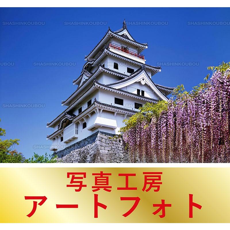 信頼 額装写真 山口博之 オリジナルプリント フジの花咲く唐津城 佐賀県 唐津市 大判サイズ 557 442mm 在庫限り Cepici Gouv Ci