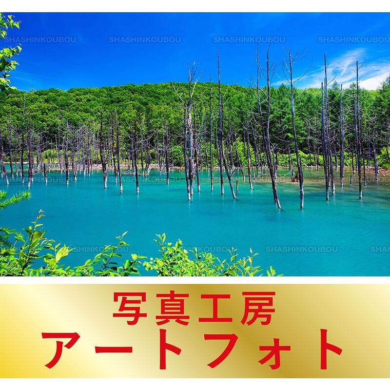 高速配送 額装写真 山口博之 オリジナルプリント 青い池 北海道 美瑛町 大判サイズ 557 442mm 初回限定 Cepici Gouv Ci