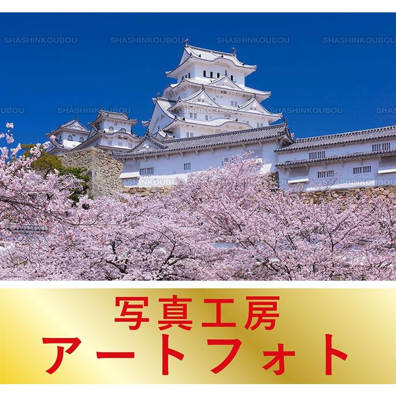 超激安 額装写真 山口博之 オリジナルプリント 桜咲く姫路城 兵庫県 姫路市 大判サイズ 557 442mm 新発 Geolandscapes Com Au