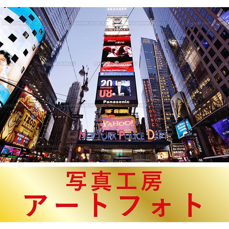 額装写真 富井義夫 オリジナルプリント タイムズスクエア ニューヨーク アメリカ合衆国 通常サイズ 426 336mm Www Mohmmadiyon Com