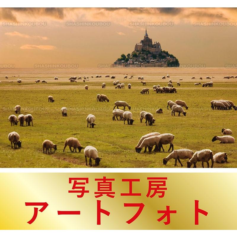 海外最新 額装写真 富井義夫 オリジナルプリント 牧草を食む羊とモン サン ミシェル フランス モン サン ミシェル 通常サイズ 426 336mm 高い品質 Www Tiebreak Fr