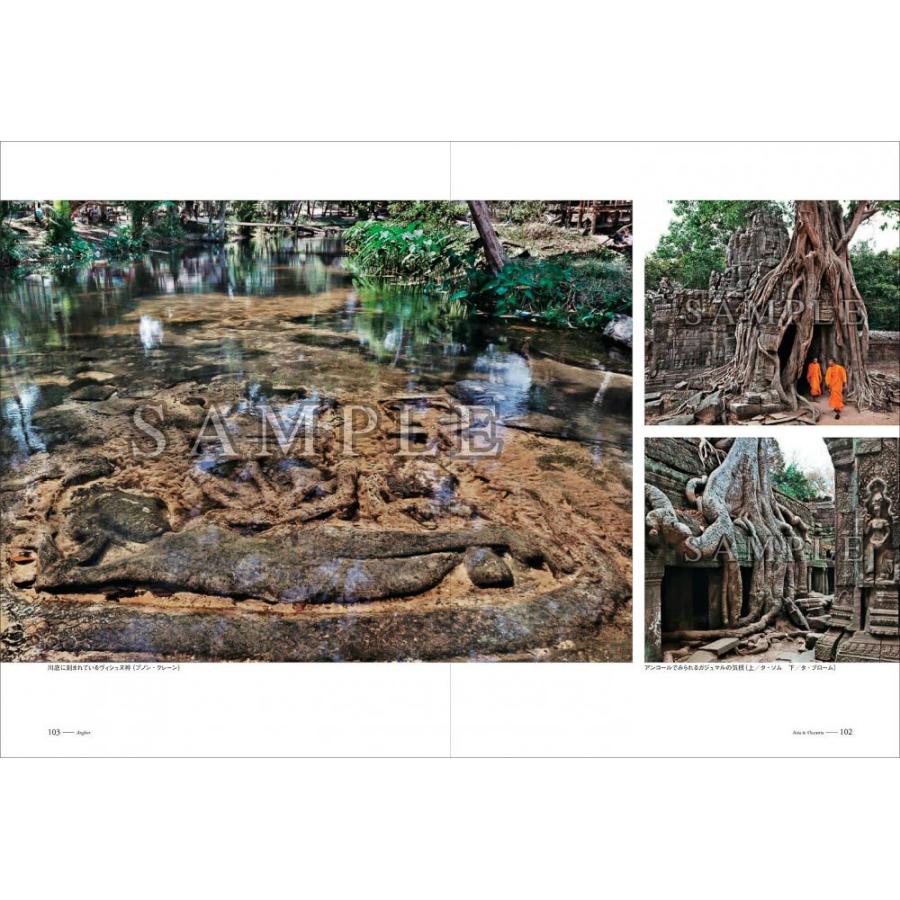 世界文化遺産×富井義夫「人類への讃歌」 |  | 12