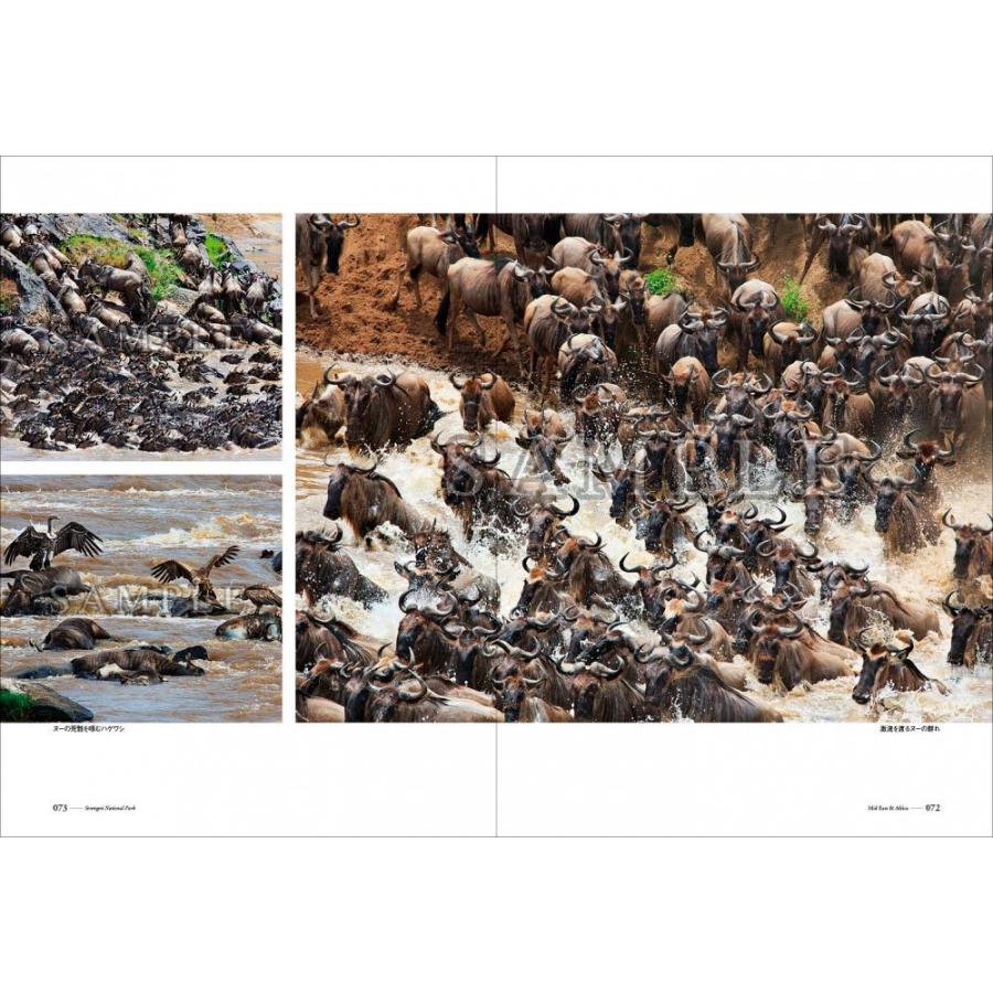 世界自然遺産×富井義夫「地球への讃歌」 |  | 10