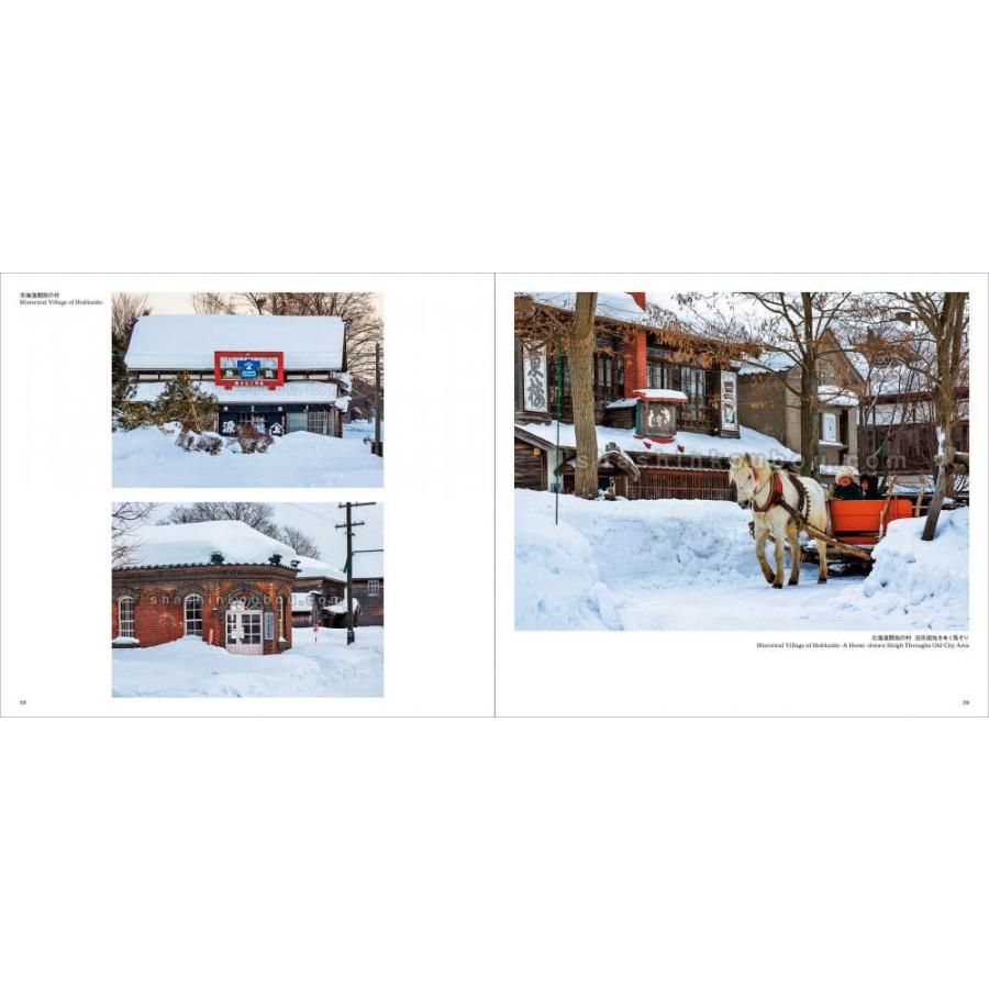 札幌 In the heart of a town, Sapporo 富井純朗 |  | 12