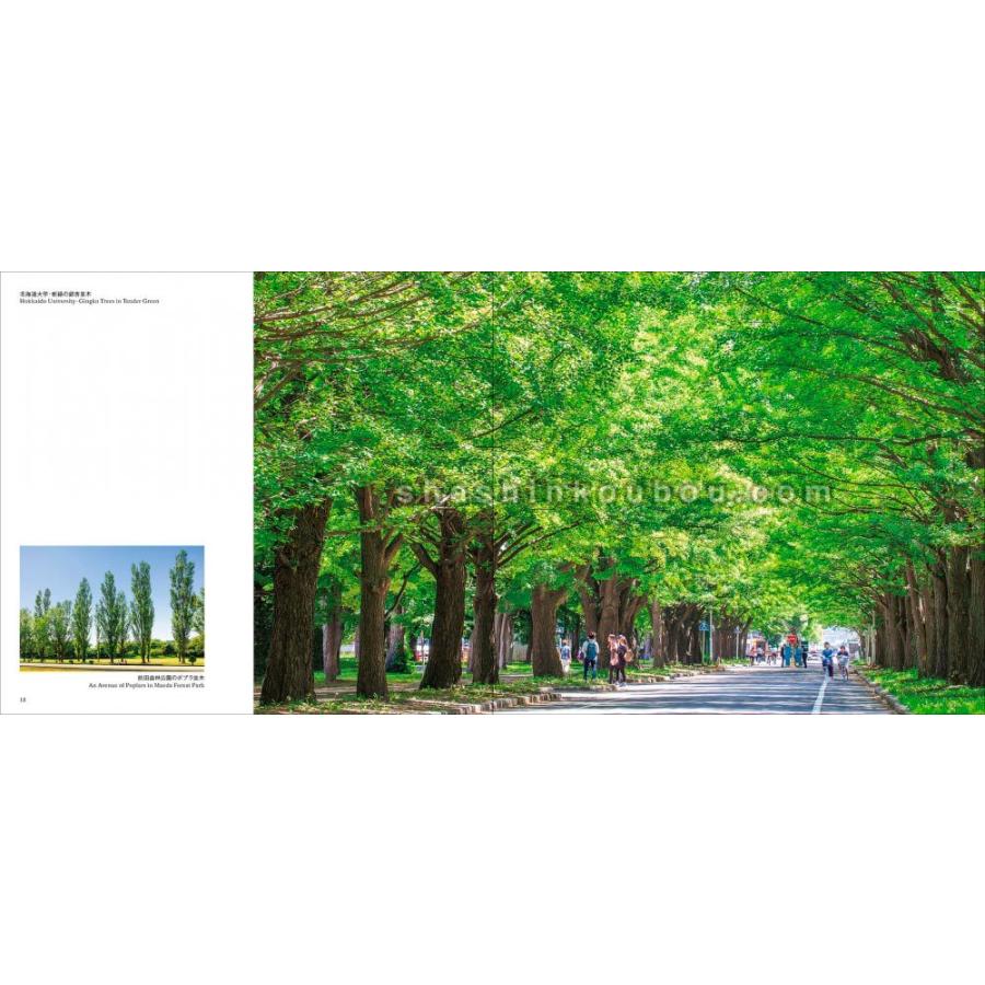 札幌 In the heart of a town, Sapporo 富井純朗 |  | 04