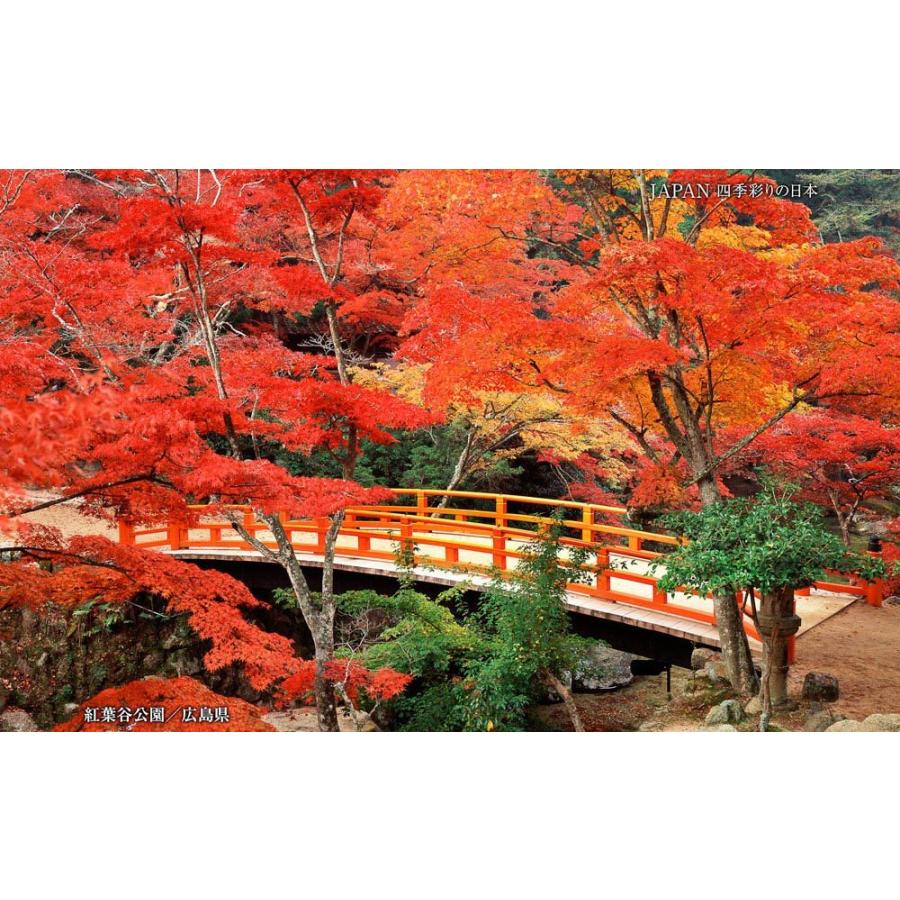 JAPAN／四季彩りの日本 BEST100＜デジタルフォトフレーム用＞ : 風景