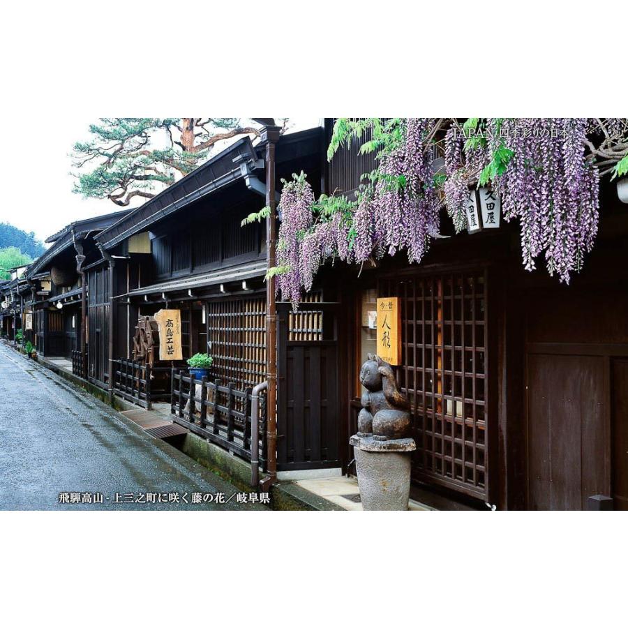 JAPAN／四季彩りの日本 BEST100＜デジタルフォトフレーム用＞ |  | 03