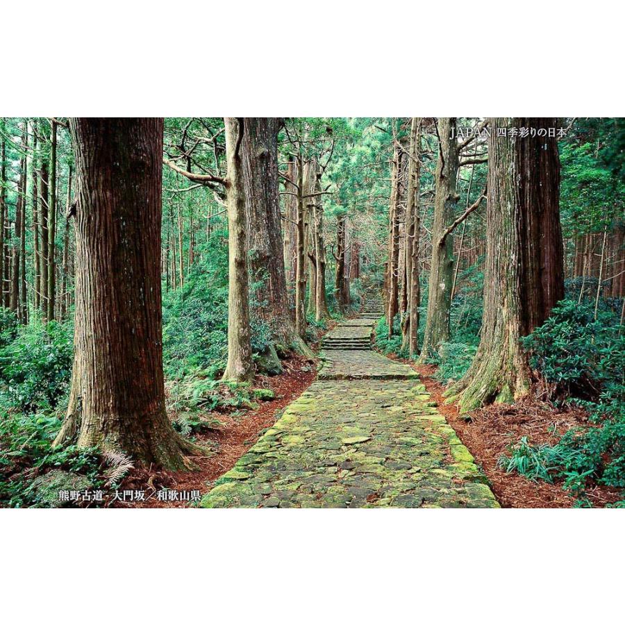 JAPAN／四季彩りの日本 BEST100＜デジタルフォトフレーム用＞ |  | 06