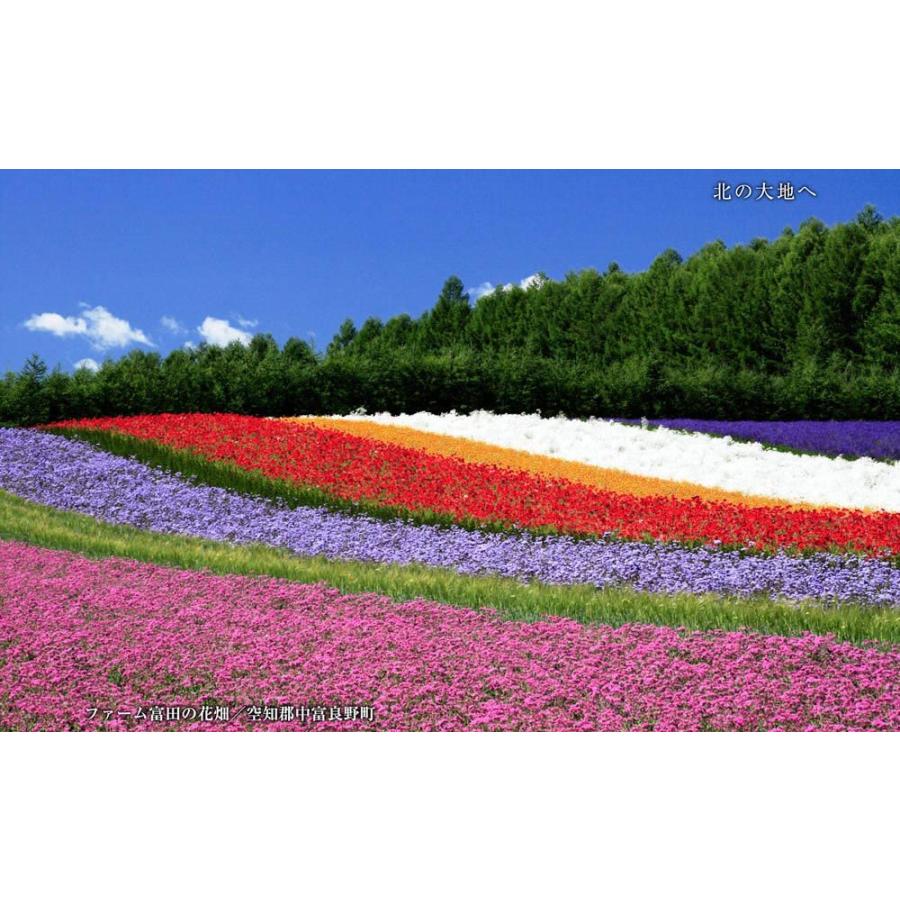 北の大地へ／美しき北海道 BEST100＜デジタルフォトフレーム用＞ |  | 10