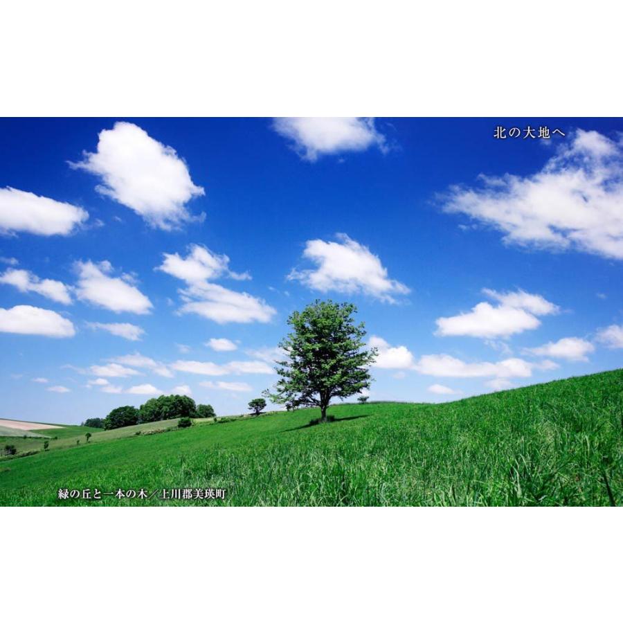 北の大地へ／美しき北海道 BEST100＜デジタルフォトフレーム用＞ |  | 11