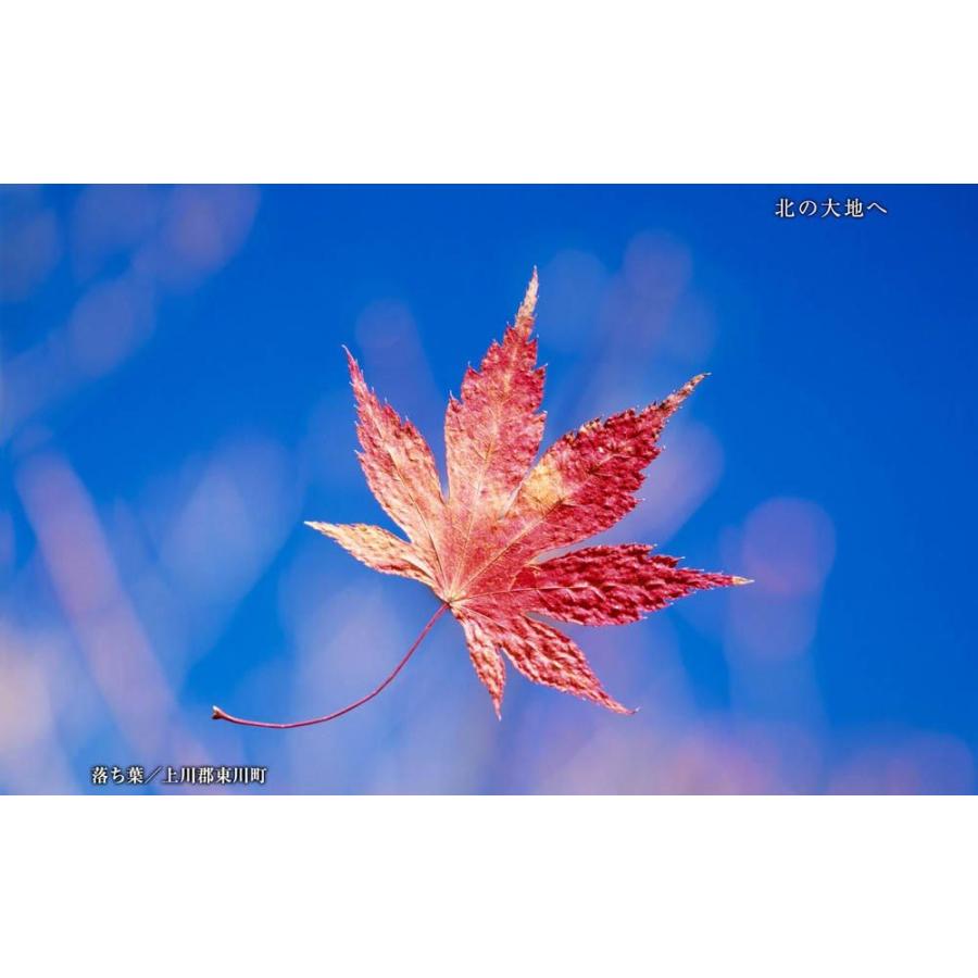 北の大地へ／美しき北海道 BEST100＜デジタルフォトフレーム用＞ |  | 14