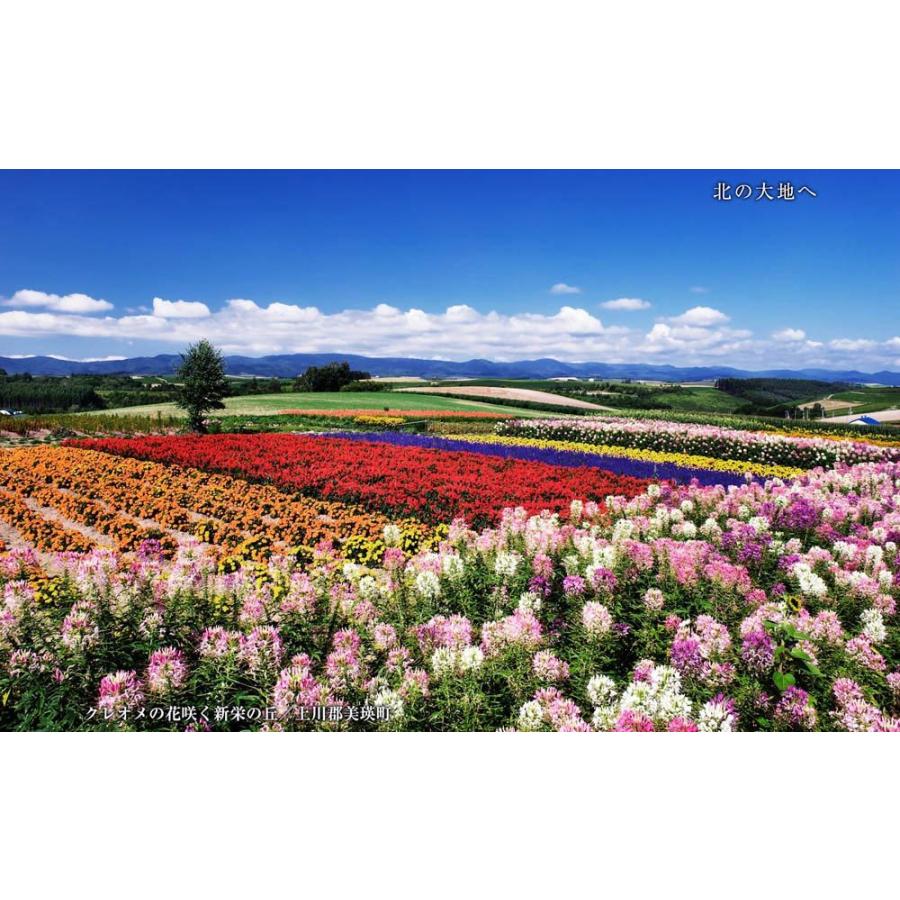 北の大地へ／美しき北海道 BEST100＜デジタルフォトフレーム用＞ |  | 17