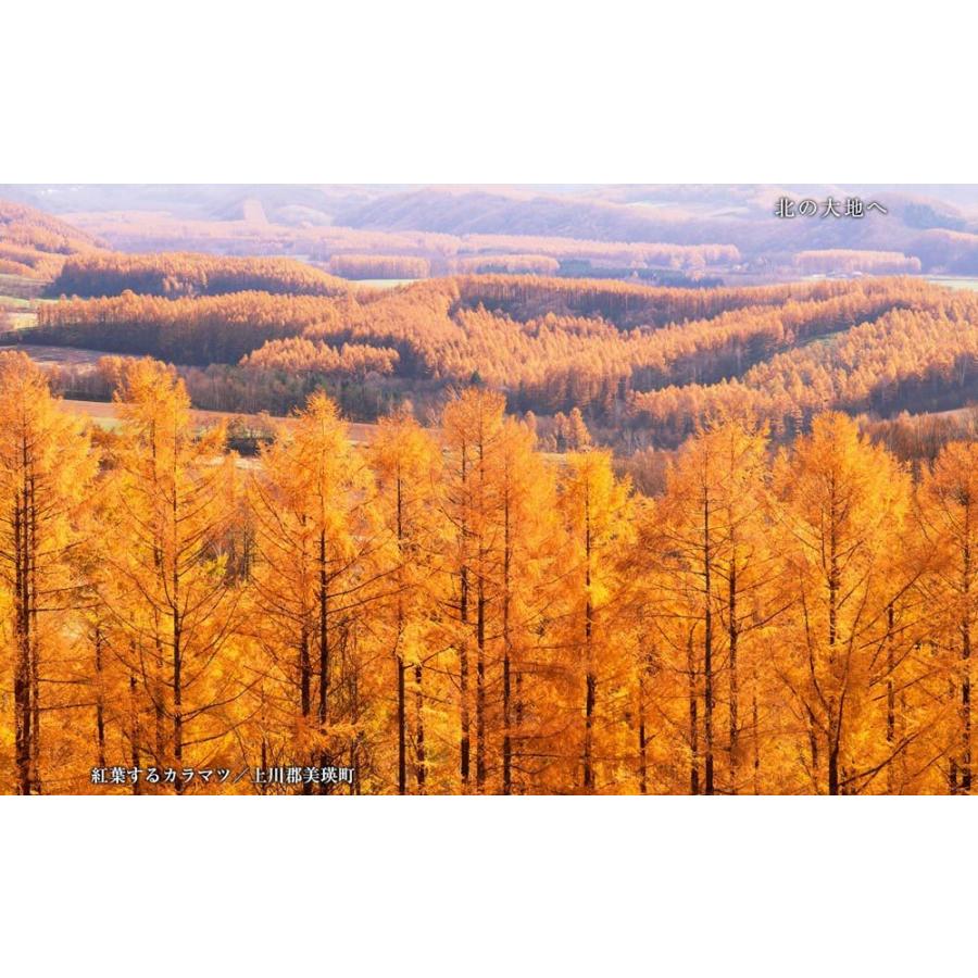 北の大地へ／美しき北海道 BEST100＜デジタルフォトフレーム用＞ |  | 18