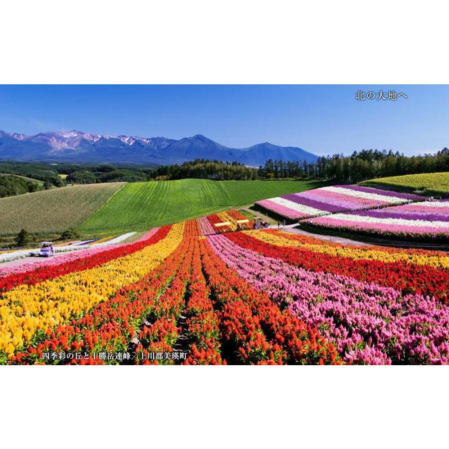 北の大地へ／美しき北海道 BEST100＜デジタルフォトフレーム用＞ |  | 05