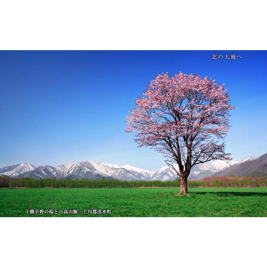 北の大地へ／美しき北海道 BEST100＜デジタルフォトフレーム用＞ |  | 09