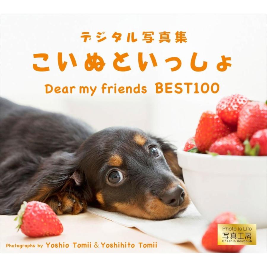 こいぬといっしょ／Dear my friends BEST100＜デジタルフォトフレーム用＞ | 