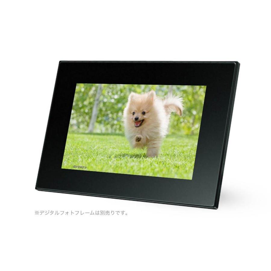 こいぬといっしょ／Dear my friends BEST100＜デジタルフォトフレーム用＞ |  | 01