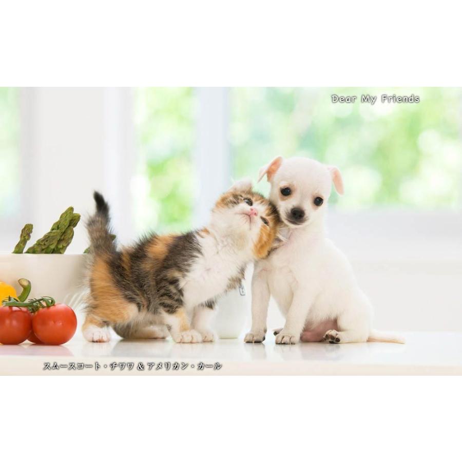 こいぬといっしょ／Dear my friends BEST100＜デジタルフォトフレーム用＞ |  | 15