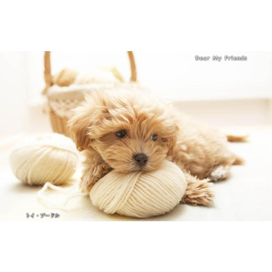 こいぬといっしょ／Dear my friends BEST100＜デジタルフォトフレーム用＞ |  | 19