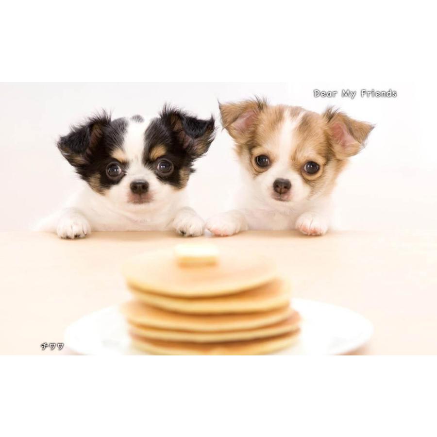 こいぬといっしょ／Dear my friends BEST100＜デジタルフォトフレーム用＞ |  | 05