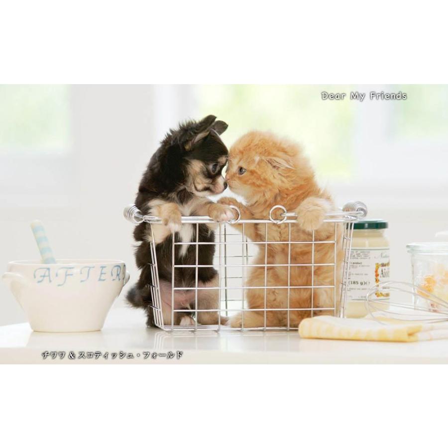 こいぬといっしょ／Dear my friends BEST100＜デジタルフォトフレーム用＞ |  | 09