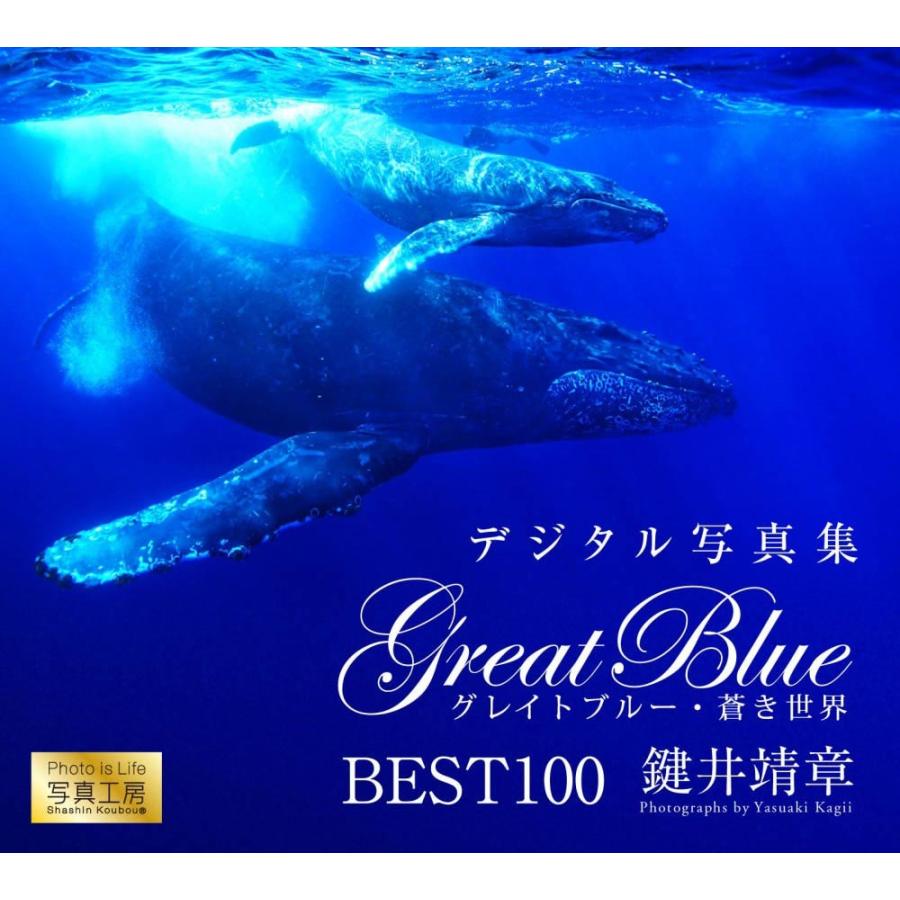 Great Blue グレイトブルー／蒼き世界 BEST100＜デジタルフォトフレーム用＞ | 