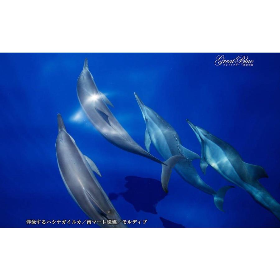 Great Blue グレイトブルー／蒼き世界 BEST100＜デジタルフォトフレーム用＞ |  | 04
