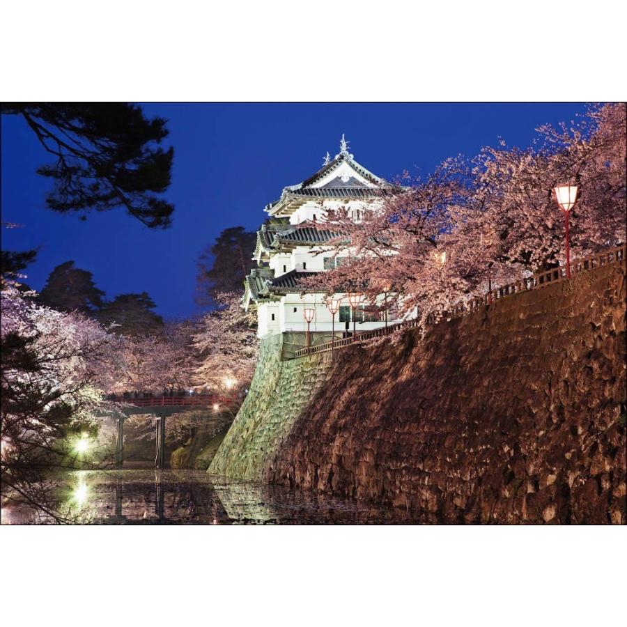 PT-003 弘前城・夜桜 : 風景カレンダーの写真工房ストア - 通販