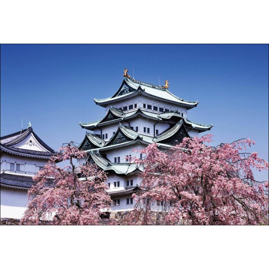 浮世絵風な水彩画　桜咲く名古屋城 PT-005 桜咲く名古屋城 : 風景カレンダーの写真工房ストア - 通販