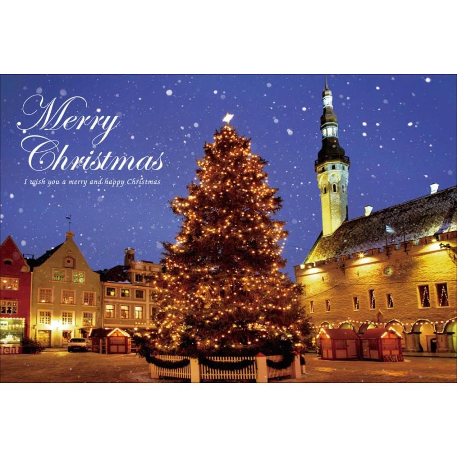 coco　クリスマスツリー 生地 『echino mominoki クリスマスパネル カットクロス 約110cm×60cm