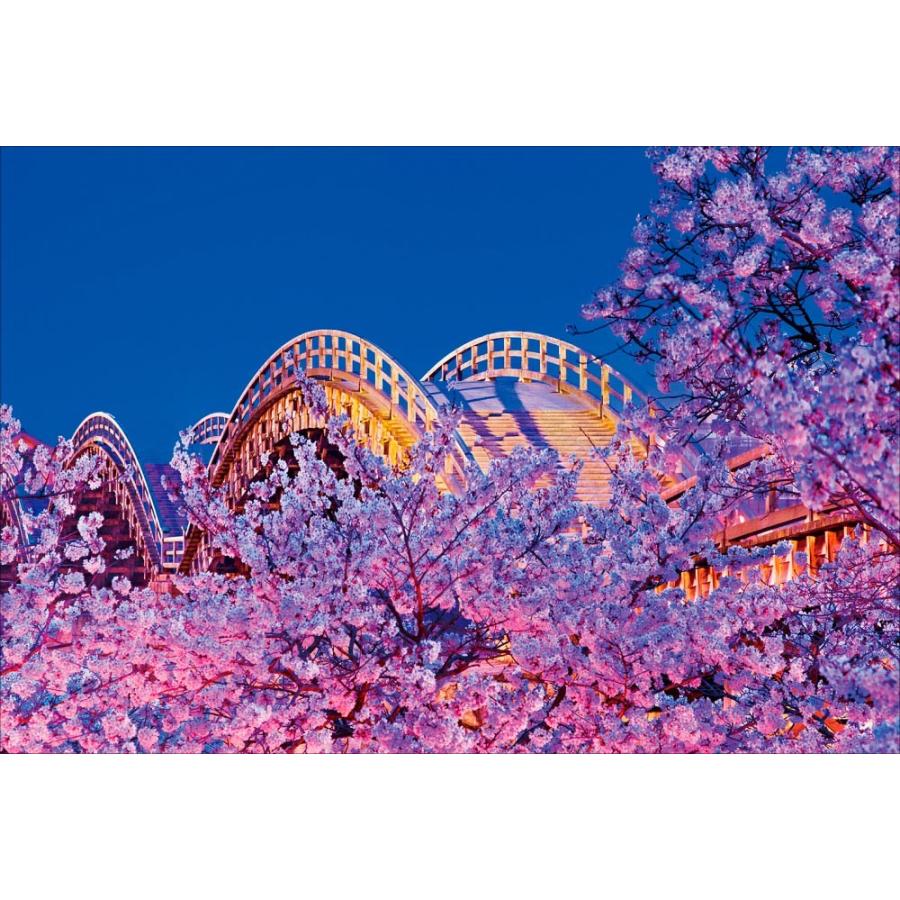 Pt 053 夜桜と錦帯橋 山口県 Pt 053 風景カレンダーの写真工房ストア 通販 Yahoo ショッピング