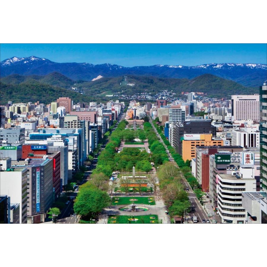 PT-059 テレビ塔から望む大通公園 | 