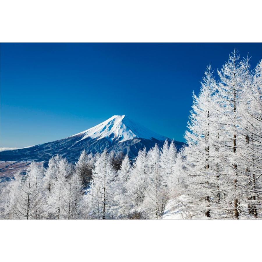 富士山に登る、山梨　図録　非売品 絵本 増補版 富士山にのぼる 石川直樹