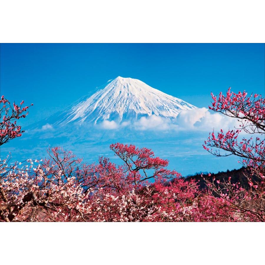 PT-096 早春の梅林に包まれる富士／静岡県 - 富士市 : 風景カレンダー