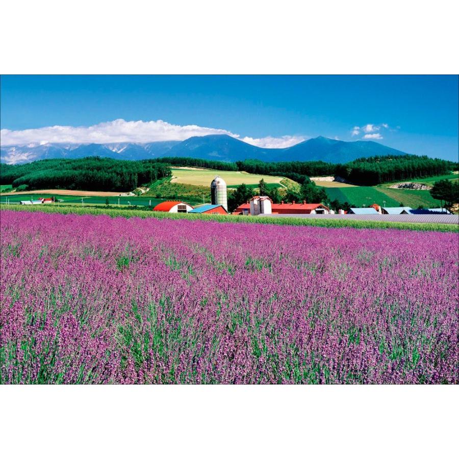 PT-164 ラベンダーの咲く丘／北海道上富良野町 : 風景カレンダーの写真
