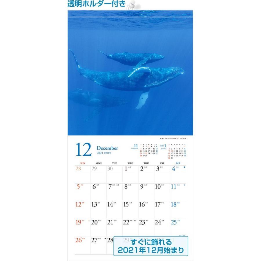 カレンダー21 壁掛け 小笠原諸島 写真 風景 人気 お洒落 絶景 ギフト スケジュール Scl 16a 4l 風景カレンダーの写真工房ストア 通販 Yahoo ショッピング