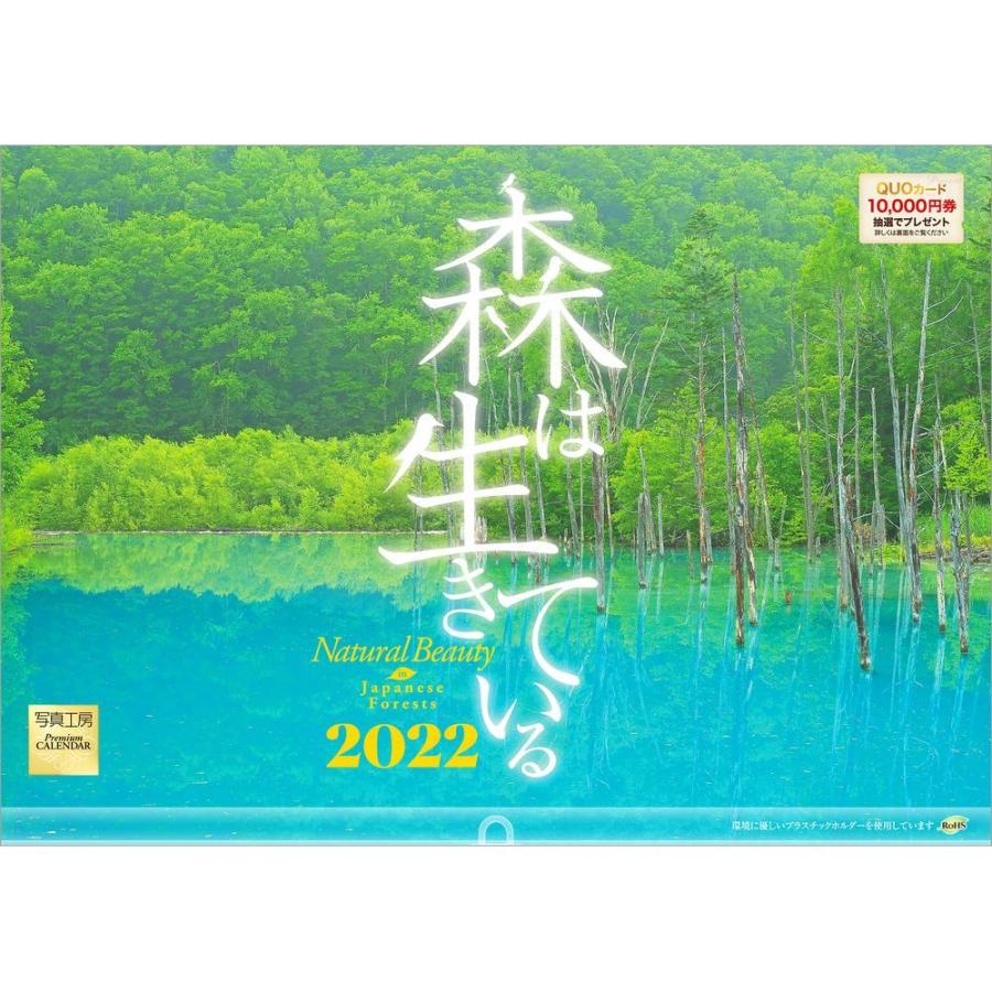 カレンダー21 壁掛け 森は生きている 自然 緑 綺麗 写真 秋 風景 絶景 お洒落 スケジュール Scl 16e 2l 風景カレンダーの写真工房ストア 通販 Yahoo ショッピング