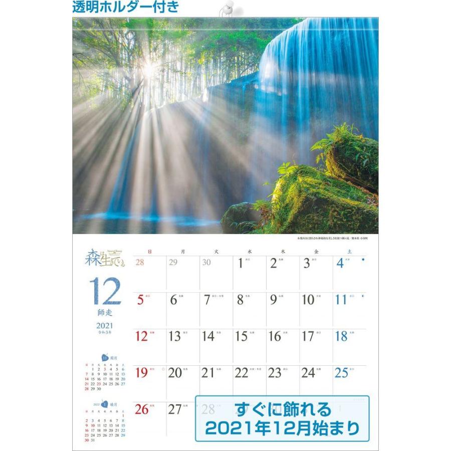 カレンダー21 壁掛け 森は生きている 自然 緑 綺麗 写真 秋 風景 絶景 お洒落 スケジュール Scl 16e 2l 風景カレンダーの写真工房ストア 通販 Yahoo ショッピング