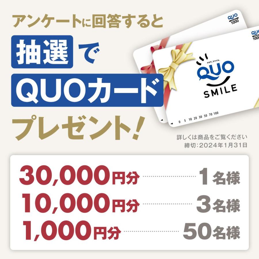 『日本一美しい花風景を散歩する』 2024年カレンダー 壁掛け 【420×297mm 透明ホルダー付】 風景 YC-20｜shashinkoubou｜11