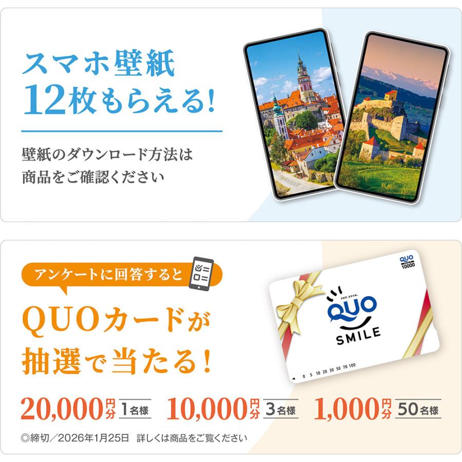 写真工房カレンダー | ヨーロッパの古城と宮殿 2026 カレンダー 壁掛け 風景 【透明ホルダー付 300×420】スマホ壁紙12枚付 YA-09 | 写真工房 | 05
