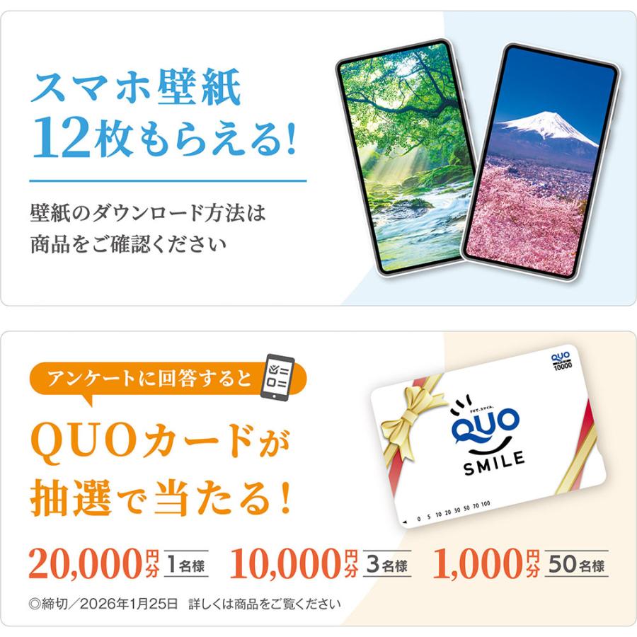 写真工房カレンダー | 麗しの国 日本 2026 カレンダー 壁掛け 風景 【透明ホルダー付 300×420】スマホ壁紙12枚付 YA-12 | 写真工房 | 05